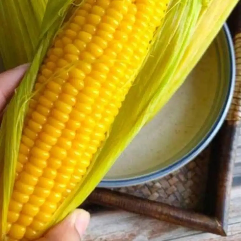 Hình ảnh bắp ngọt luộc 