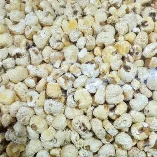 Hình ảnh Bỏng Ngô Tẻ