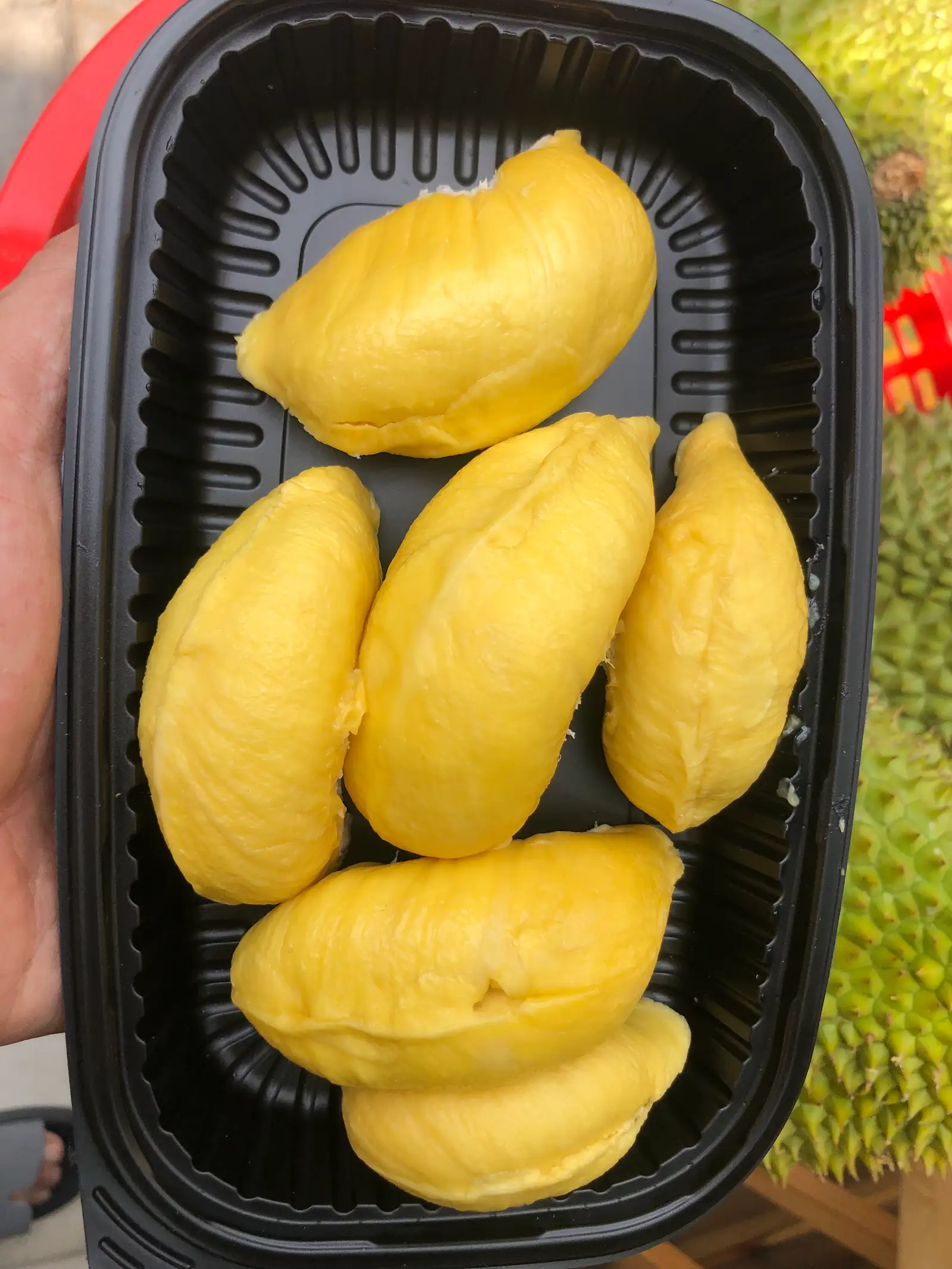 Sầu Riêng Musaking khay 300g - 150.000 ₫ tại Sầu Riêng Sài Gòn - Cống Quỳnh