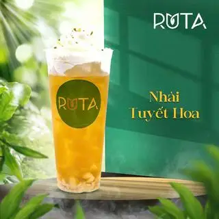 Hình ảnh Nhài tuyết hoa