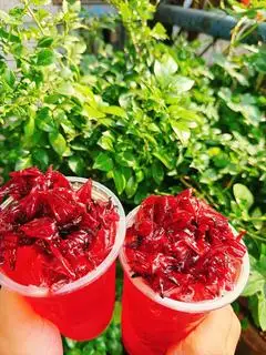 Hình ảnh Trà hibiscus (atiso đỏ)