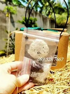 Hình ảnh HỘP 10 VIÊN YẾN BABY