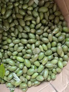 Hình ảnh 1 hộp nhót + túi chẩm chéo khô