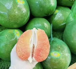 Hình ảnh bưởi da xanh nguyên quả