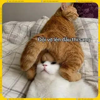 Hình ảnh Má đùi gà xối mỡ x1