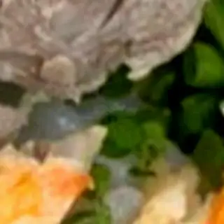 Bánh canh thịt heo - 40.000 ₫ tại Bánh Canh Cua Thảo - Cư Xá Phú Lâm B