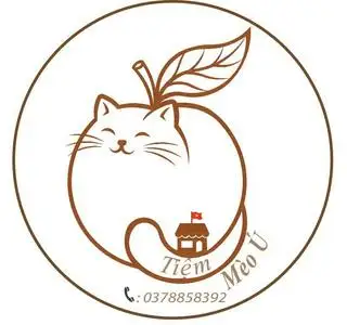 Hình ảnh Mèo ú