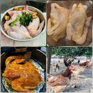 Hình ảnh gà hầm lá ngải thuốc bắc