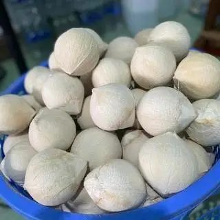 Hình ảnh Dừa sọ