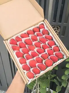 Hình ảnh Dâu nhật skyberry size vip