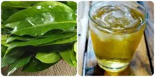 Hình ảnh Nước lá vối