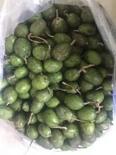 Hình ảnh 0,5kg Cóc Non( nguyên trái, chưa gọt ạ) 