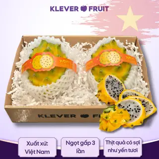 Hình ảnh Thanh Long Tổ Yến giống Ecuador - Khay 02 quả ~ 0.46kg - Bird’s Nest Dragon Fruit - Klever Fruit