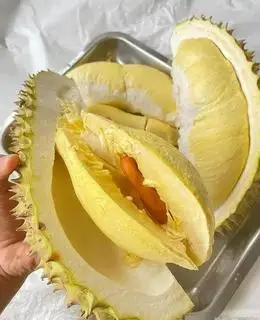 500g thịt Sầu riêng Thái Monthong - 185.000 ₫ tại Sầu Riêng Sài Gòn - Cống Quỳnh