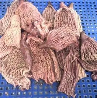Hình ảnh bánh canh chả cá bao tử cá ngừ