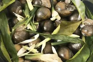 Hình ảnh ốc bưu hấp xã