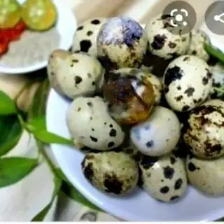 Trứng Cút Lộn Luộc - 10 quả - 20.000 ₫ tại Anh Vũ - Bắp Xào & Khô Mực - Vĩnh Viễn