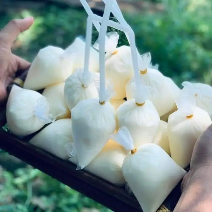 Hình ảnh YA UA Huế 