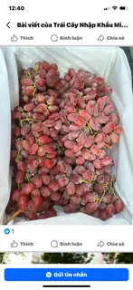 Hình ảnh NHO Đỏ Ko Hạt 500gr