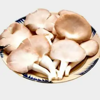 Nấm Thêm - 20.000 ₫ tại Lẩu Gà Lá É Nhật Trường - Bình Lợi