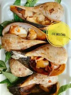 Hình ảnh Ốc Muỗng