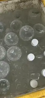 Hình ảnh Dừa chai nhỏ