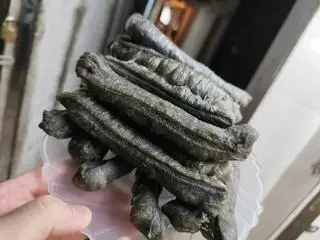 Hình ảnh Quẩy Bóng Đêm (10c)