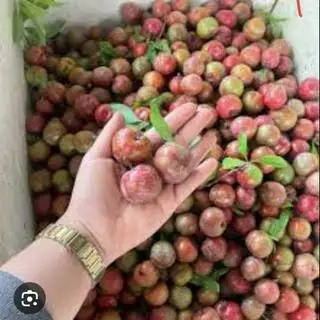 Hình ảnh mận hậu kèm muối 