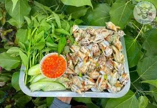 ốc nhảy hấp sả - 129.000 ₫ tại Tám Ốc