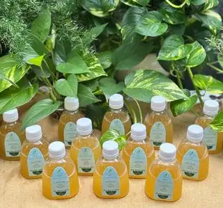 Probiotic Active (Tăng Enzy&Probi) - CHAI NHỰA - 32.000 ₫ tại KusaGut - Nguyễn Thái Sơn