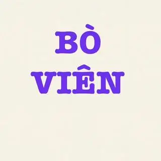 Hình ảnh BÚN - BÒ VIÊN NHÀ LÀM