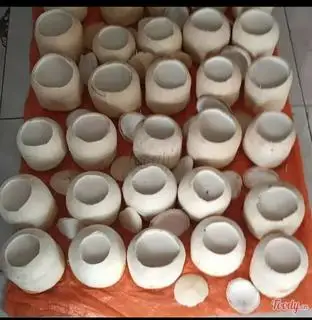 Hình ảnh Rau câu trái dừa - nhỏ