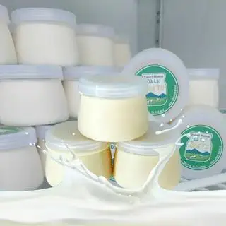 Hình ảnh Yaout Phô Mai  Đà Lạt