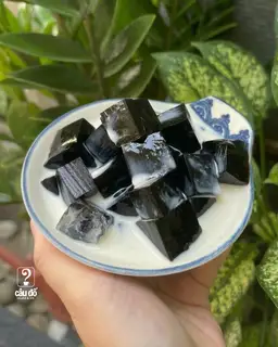 Hình ảnh Sương sáo sữa tươi