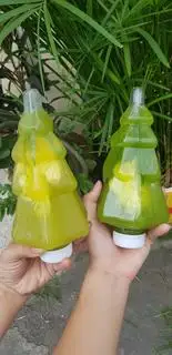 NƯỚC MÍA KIWI CÂY THÔNG NOEL 450 ML NGUYÊN CHẤT DUY NHẤT CHỈ CÓ TẠI MÍA _DỪA GIA HUY.NHÂN DỊP GIÁNG SINH GIA HUY TẶNG ƯU ĐÃI KH - 16.000 ₫ tại Gia Huy - Nước Mía, Dừa & Cà Phê - Đông Hồ