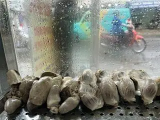 Hình ảnh gan mề thêm 
