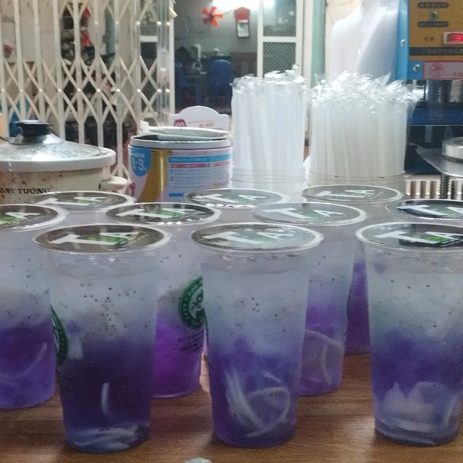 Hình ảnh Dừa Thủy Chung 
