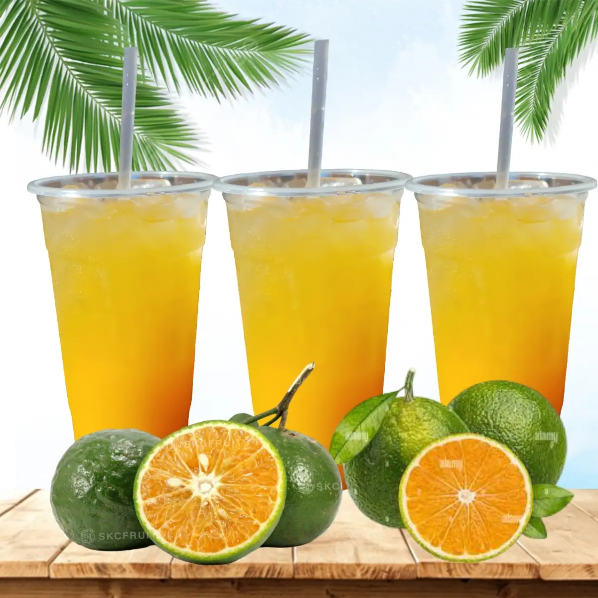 Nước cam tươi vắt ly lớn 700ml - 28.000 ₫ tại Cơm Tấm - Bún Thịt Nướng An Chi - Âu Cơ