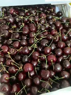 Hình ảnh Cherry Mỹ size 10