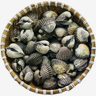 Hình ảnh  Sò Huyết Xào Me 