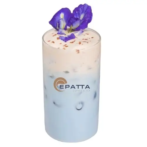 Sữa Tươi Hoa Đậu Biếc - 55.000 ₫ tại Epatta Coffee & Tea - Hoa Lan