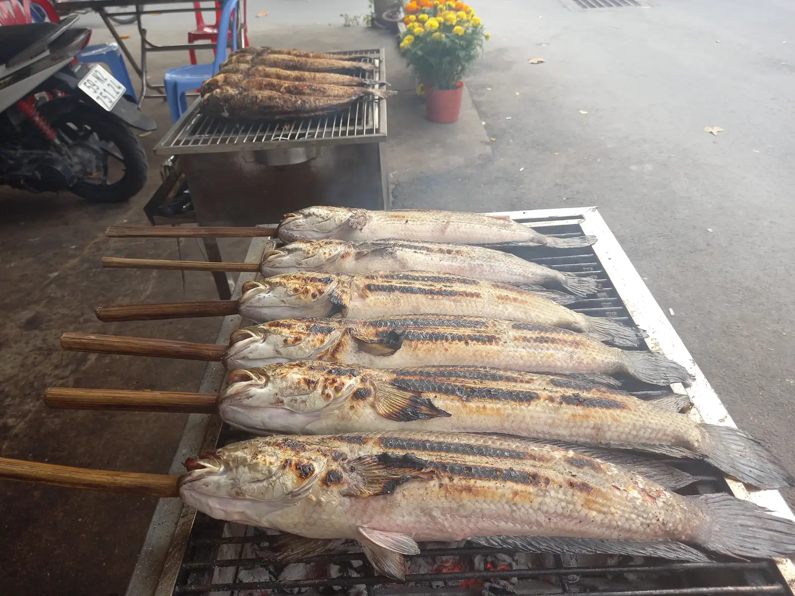 Hình ảnh Cá lóc nướng rau Rừng .loại Lớn