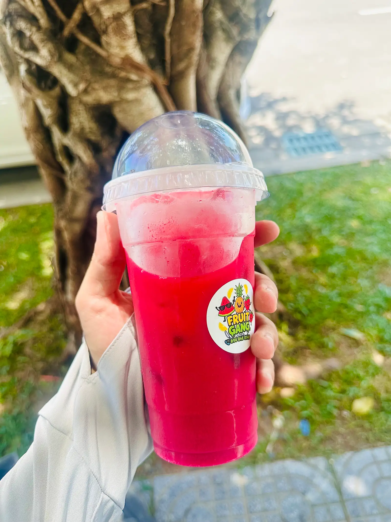Hình ảnh Nước ép dưa hấu nguyên chất