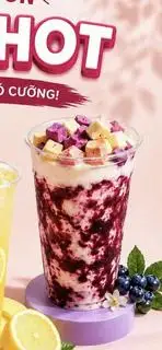 Hình ảnh Sữa chua sấy Việt Quất - L
