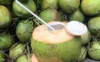 Hình ảnh Dừa xiêm lạnh