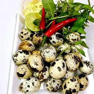 Hình ảnh Cút Lộn Ướt Át - Luộc