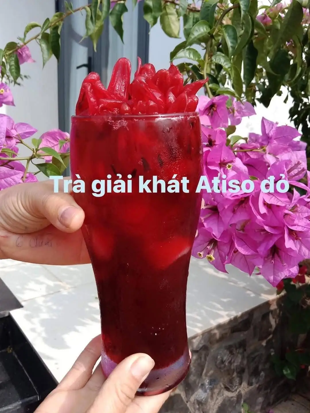 Trà Hoa Atiso Đỏ - 35.000 ₫ tại Cháo Hàu Anh Tuấn - Huỳnh Văn Bánh