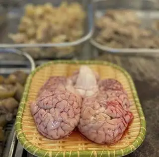 Hình ảnh Bộ óc Bò