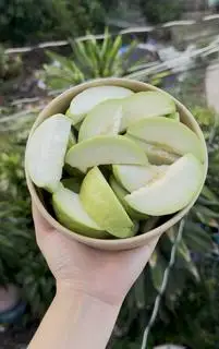 Hình ảnh Ổi 