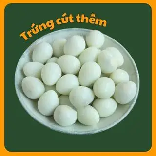 Hình ảnh Trứng cút